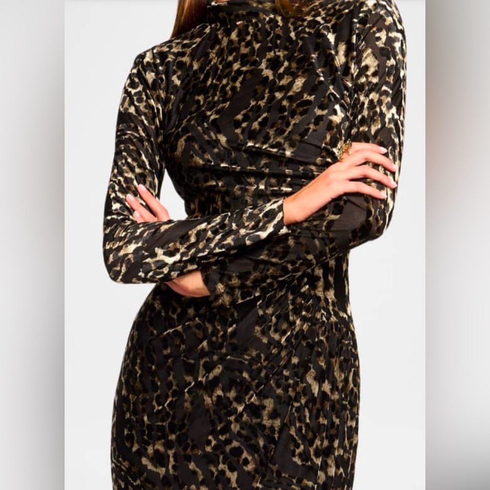 Ramy Brook
Eveline Leopard Mock-Neck Midi Dress, Size 2, Worn Once